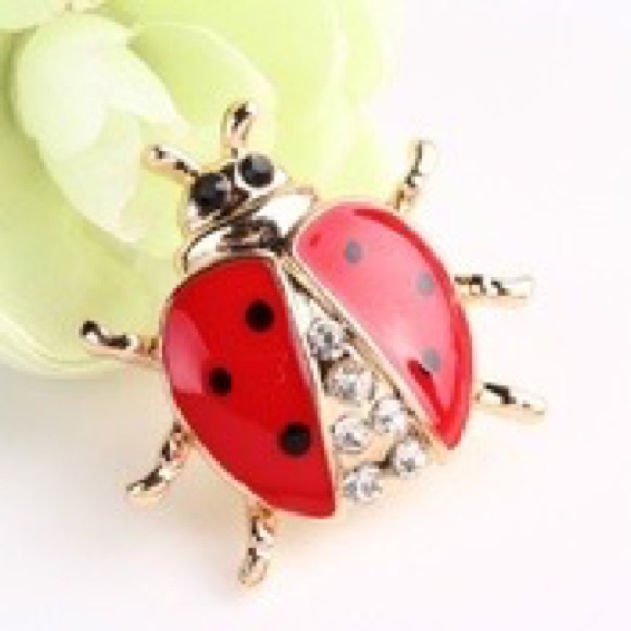 Jewelry - Brooch